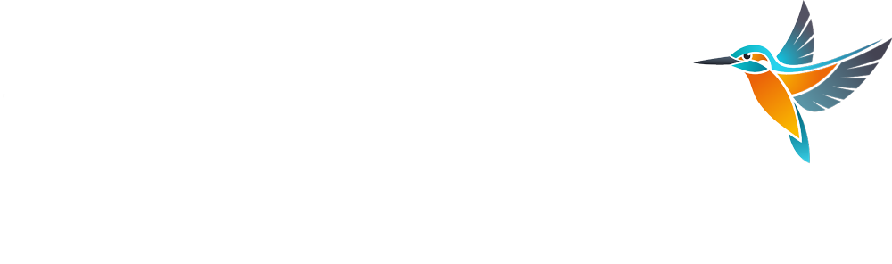 Kingfisher HR-Management
